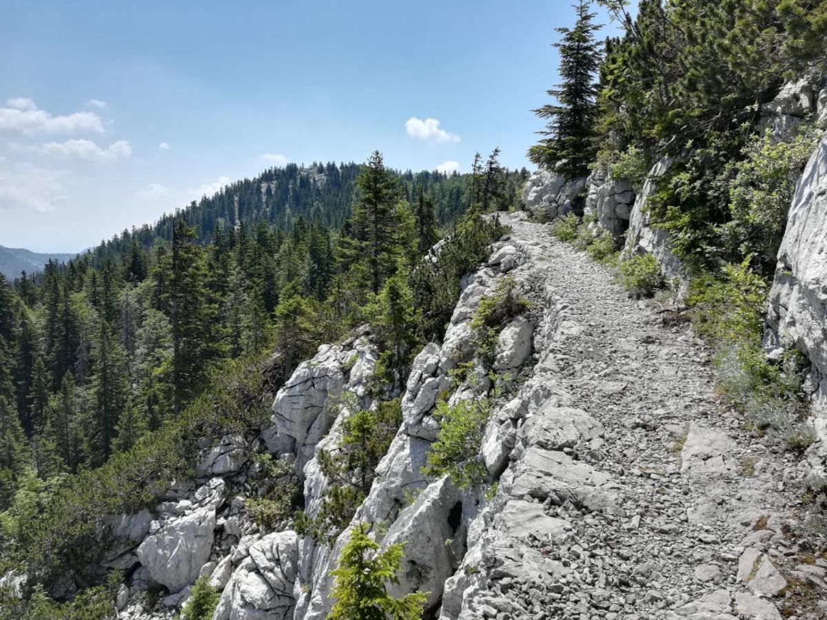 Feral Daire Sveti Juraj Dış mekan fotoğraf